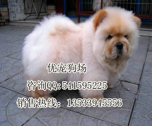 ʨʨͼƬʨ۸ʨǮ