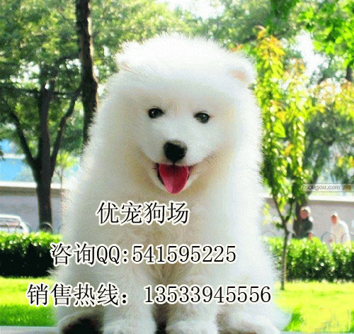 ĦҮĦҮͼƬĦҮ۸ĦҮǮ