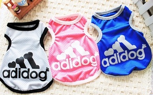 װģT۱ģADIDOG