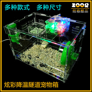 ZOOGŲʷǿ͸