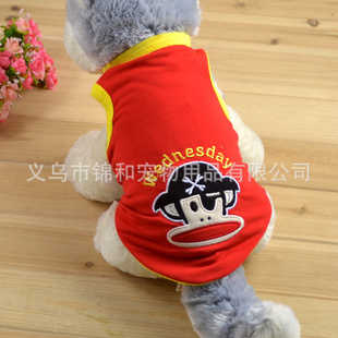 2013新款春装星期大嘴猴表情T恤宠物泰迪狗背心衬衫狗衣服
