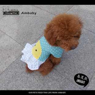 AMBABYװ·Ӳһ