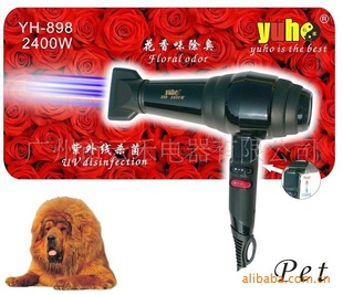 ƴͳ2400W¿898+紵ˮ