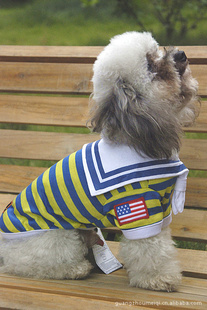 ·PETBABYﴺװװ