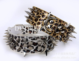ֱⶤȦ湷Ȧspikescollar5*56