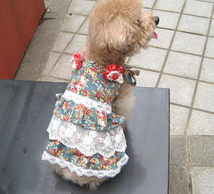 ƷPEIPET԰·˿ȹ