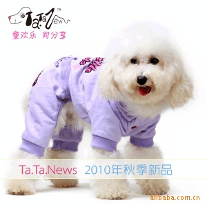 2010新款宠物服装批发-宠物衣服-星光荧荧休闲四脚裤