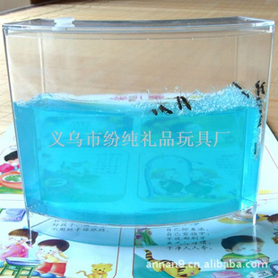 厂家批发蚂蚁宫,益智玩具坊,蚂蚁屋蚂蚁农场,生态玩具批发