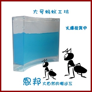 蚂蚁工坊蚂蚁家园蚂蚁工房高量生态玩具大号