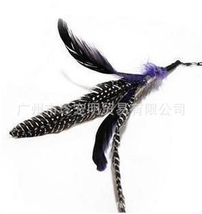 èƴëè,èߣCATTOY,Dabird