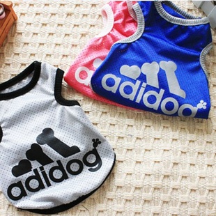 ·װ·adidog۱С