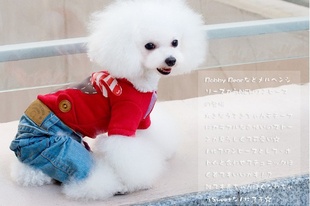 abby··2013ﶬʥװpetγ