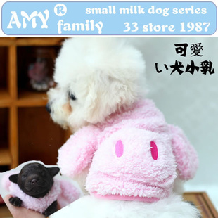 AMYﶬ¿С̹·Ȯװװ