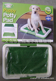 pottypatchTV棻棻