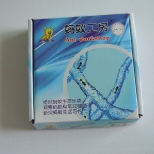 蚂蚁工坊生态玩具蚂蚁工房家园蚂蚁窝中号