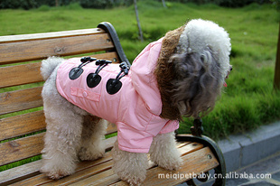 װPETBABY·