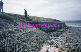 š13784855898