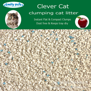 ƷClevercatèɰƻ㣩