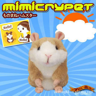 ͯmimicrypetѧ˵˵С