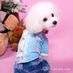 ձABBY2012ﶬ¿tƷ
