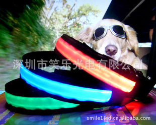 2011¿LEDﹷȦ˴