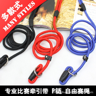 狗链子宠物牵引绳P链狗绳无需狗项圈一体式牵引带中小型狗链