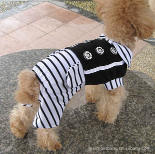 PETBABYʿװ