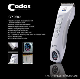 codosƵʿƣëCP-9600