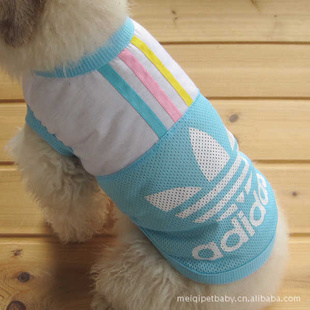 PETBABYƷ·