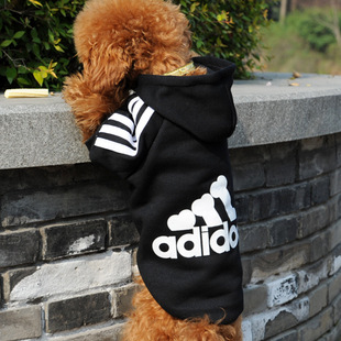 ·adidog³ֱƷװ