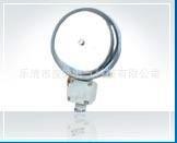 YL200-24ZYL200-110ZYL200-220Z船用直流电铃型号