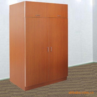 ʽƵ׷¹