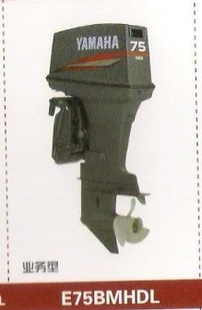ձ75ƥֶ20ᣩ