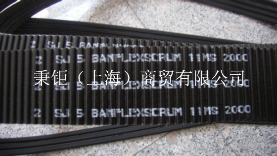 ձ涫۰Ǵ11MS