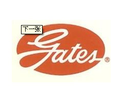 GATESǴƤ11M1550