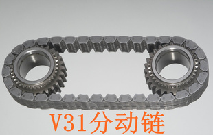 V31ֶ