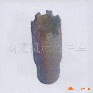 ݶ