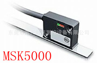 λƴMSK5000
