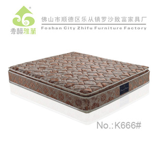 泧ֱ棨Ҭش棩