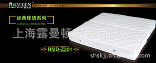 RMD-Z301棨ͼ