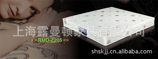 RMD-Z205棨ͼ
