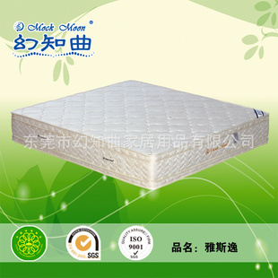 齺桡͸Ӳ
