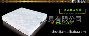 RMD-F101棨ͼ