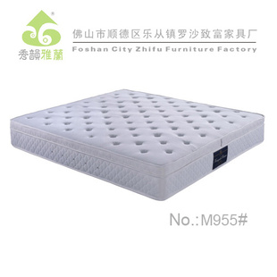 泧ֱ棨齺棩