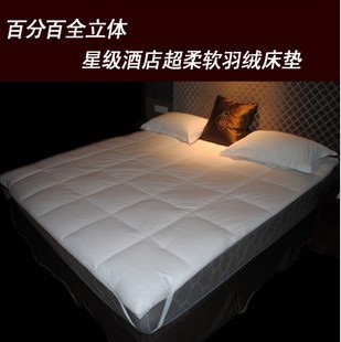 ؼۼӺ5cm10cmȫ޴洲챻׵˫˵