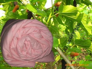 ͩȪ˿ů˿ͼ