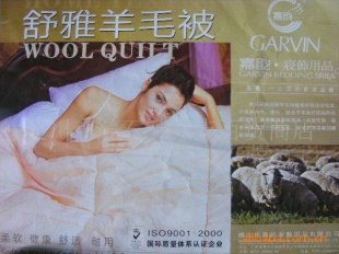 ëϴƷϵISO9001-2000