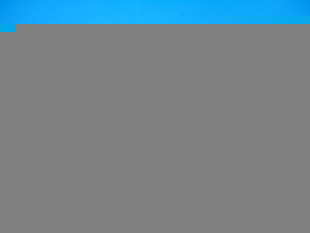 IMPA:351051-351052ͭܽͷ