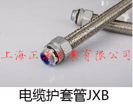 »׹JXB
