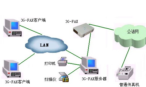 Ȫֽ紫봫